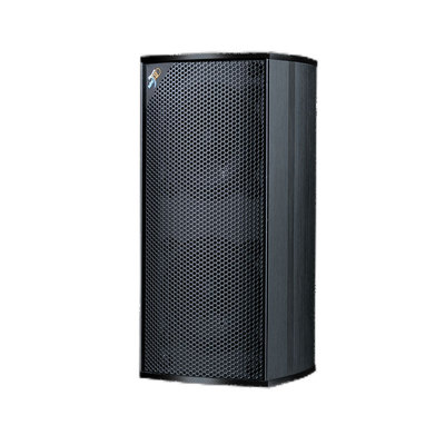 LXD-JY65SD 6.5寸专业音箱