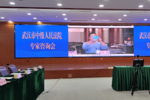 武汉市中级人民法院